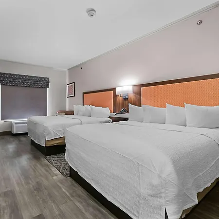 Hampton Inn Seguin Exterior foto