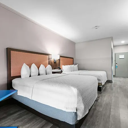 Hampton Inn Seguin Exterior foto